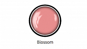 D014 - Blossom