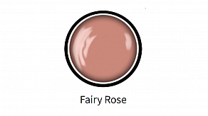 D019 - Fairy Rose